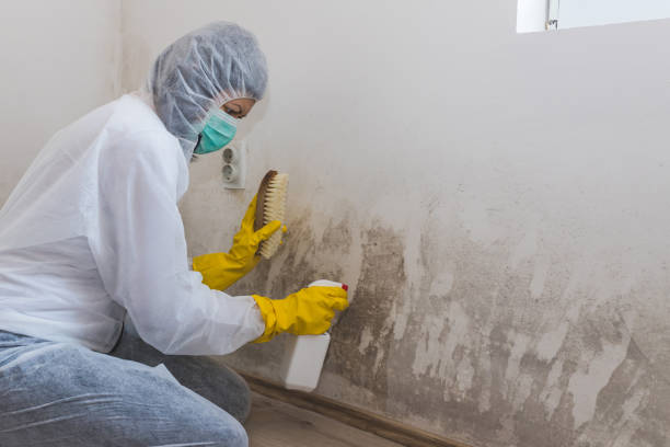 Crawl Space Mold Removal in Wadley, GA
