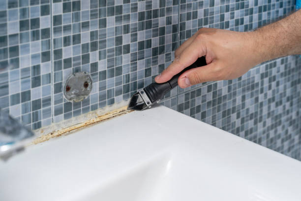 Best Professional Mold Removal  in Wadley, GA